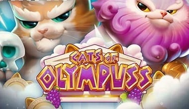 Cats of Olympuss